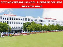 MONTESSORI SCHOOL INDIA