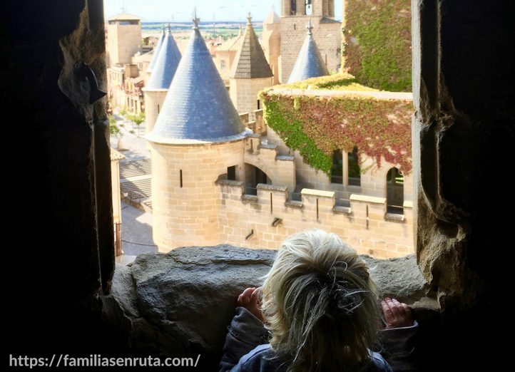 Vistas desde una de las torres del Palacio Real de los Reyes de Navarra - Navarra con niños