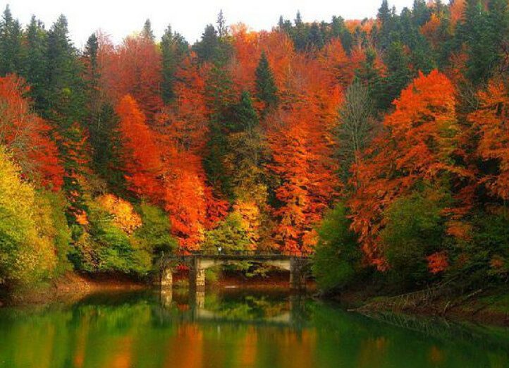 Selva de Irati - Navarra con niños